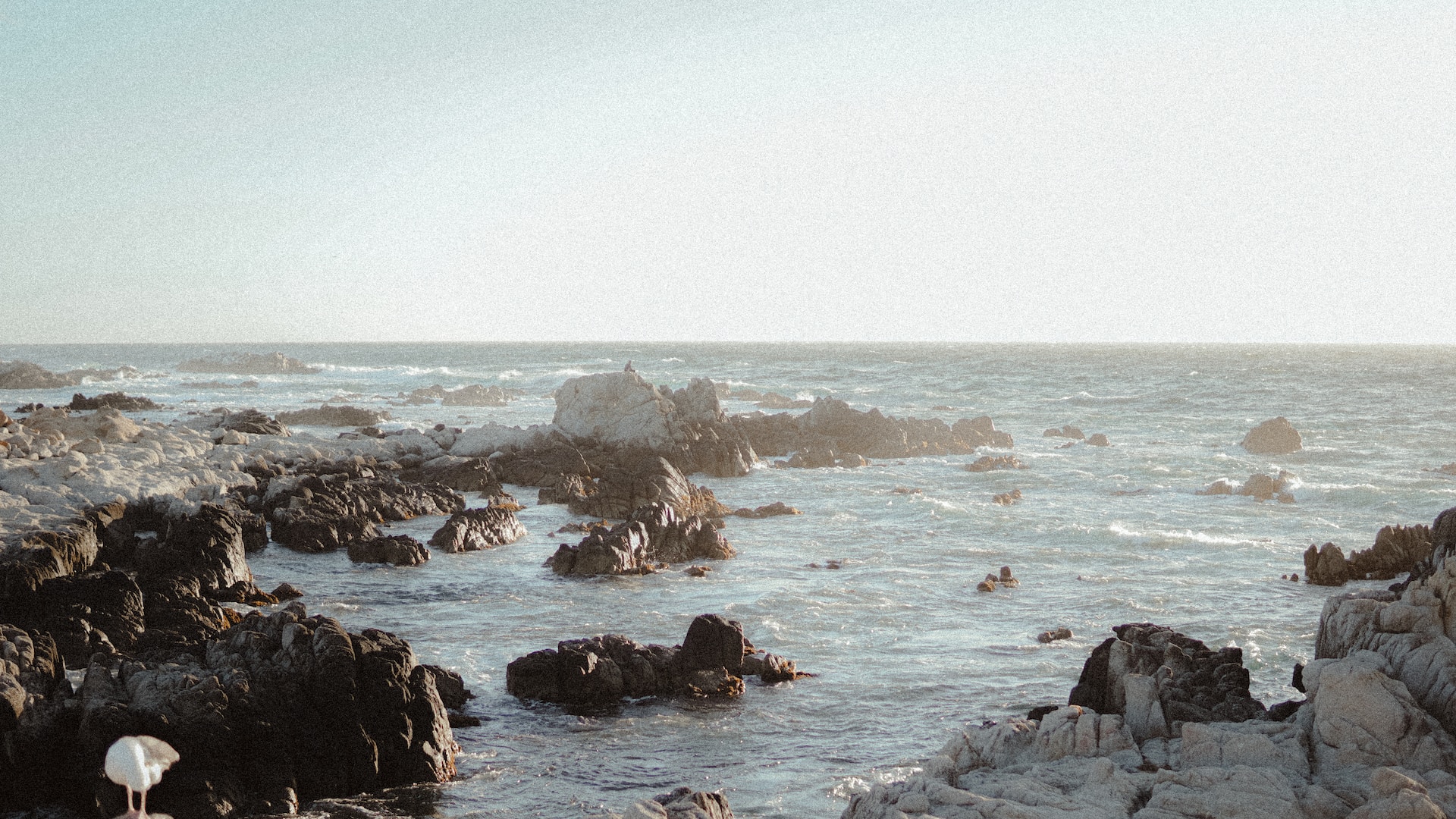 View of the coast of Asilomar. The ocean with many rocks sticking above its surface.